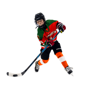 BAUER NEXUS PERFORMANCE STICK JUNIOR